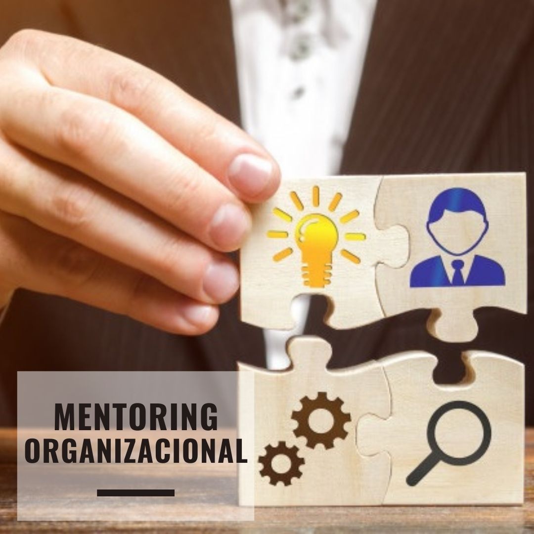 mentoring organizacional